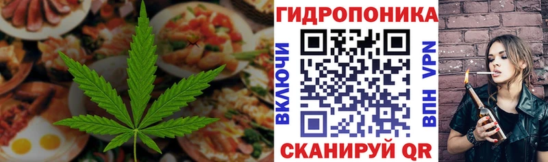 Cannafood марихуана  Купить закладки  Карачаевск 
