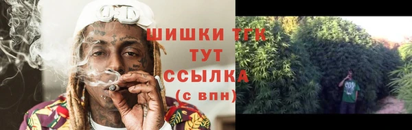 дмт Касимов