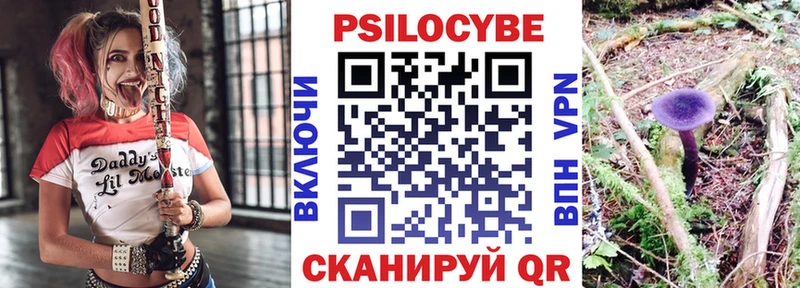 Купить закладки  Карачаевск  Псилоцибиновые грибы ЛСД 